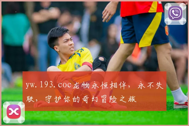 yw.193.coc龙物永恒相伴，永不失联，守护你的奇幻冒险之旅